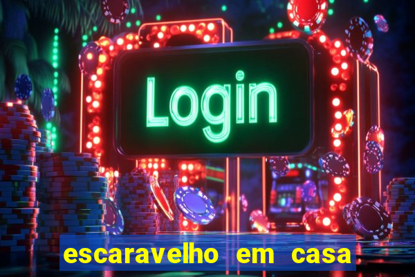 escaravelho em casa significado espiritual